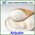 Wholesale bulk arbutin